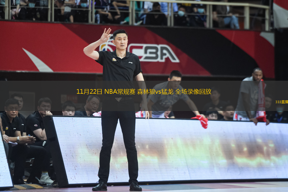 11月22日 NBA常規(guī)賽 森林狼vs猛龍 全場(chǎng)錄像回放